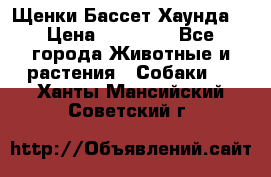 Щенки Бассет Хаунда  › Цена ­ 25 000 - Все города Животные и растения » Собаки   . Ханты-Мансийский,Советский г.
